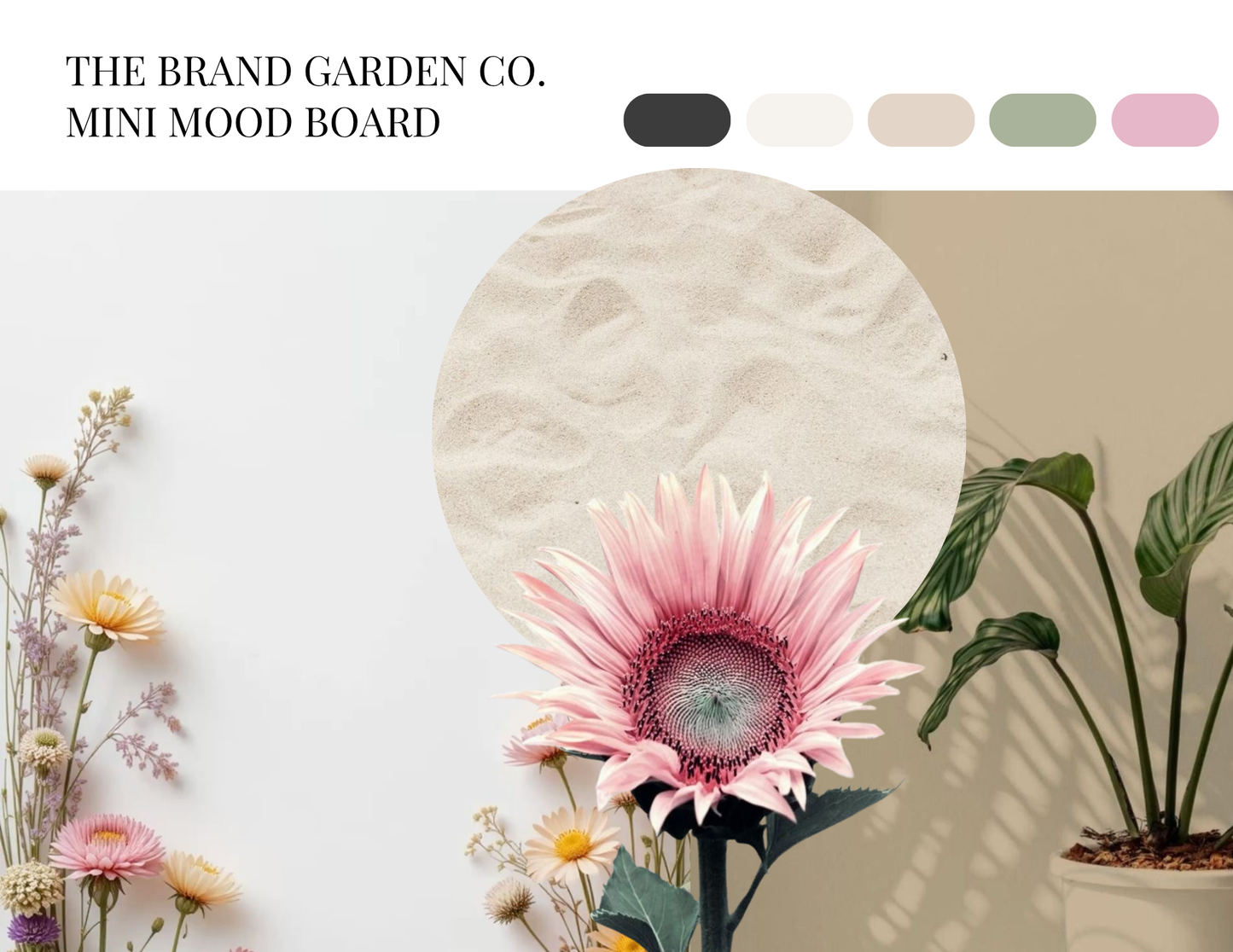 Color Refresh