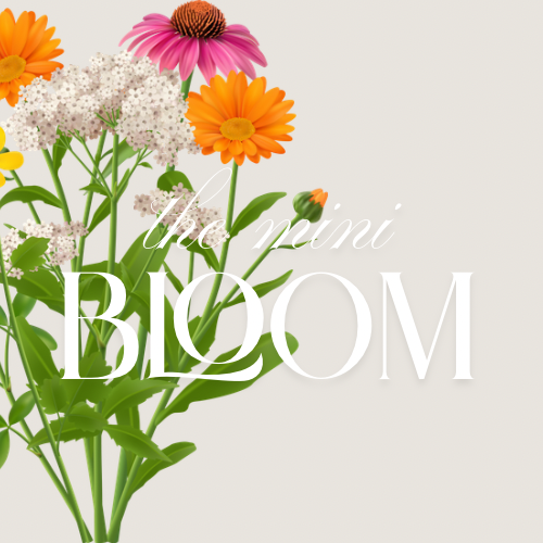 The Mini Bloom - Soft Brand Refresh